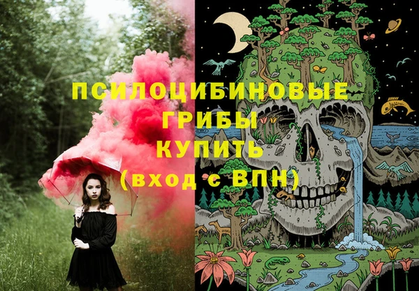 а пвп мука Надым