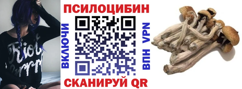 Галлюциногенные грибы Magic Shrooms  где купить   Менделеевск 