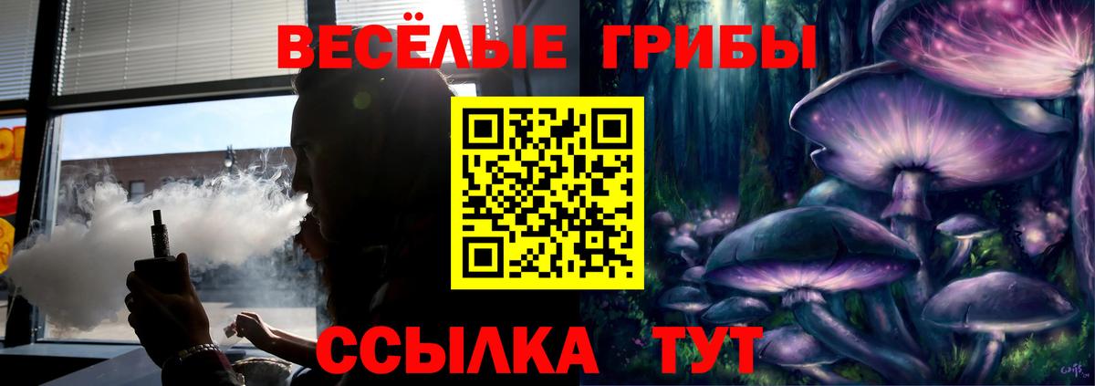 Псилоцибиновые грибы GOLDEN TEACHER Менделеевск