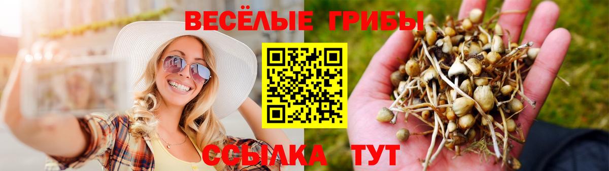 Галлюциногенные грибы Magic Shrooms  Псилоцибиновые грибы ЛСД  Вход с VPN  Менделеевск 